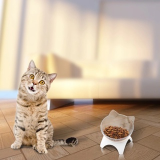 Comedouro Bebedouro Elevado Acrílico Gatos Persa Ergonômico em Oferta na Shopee