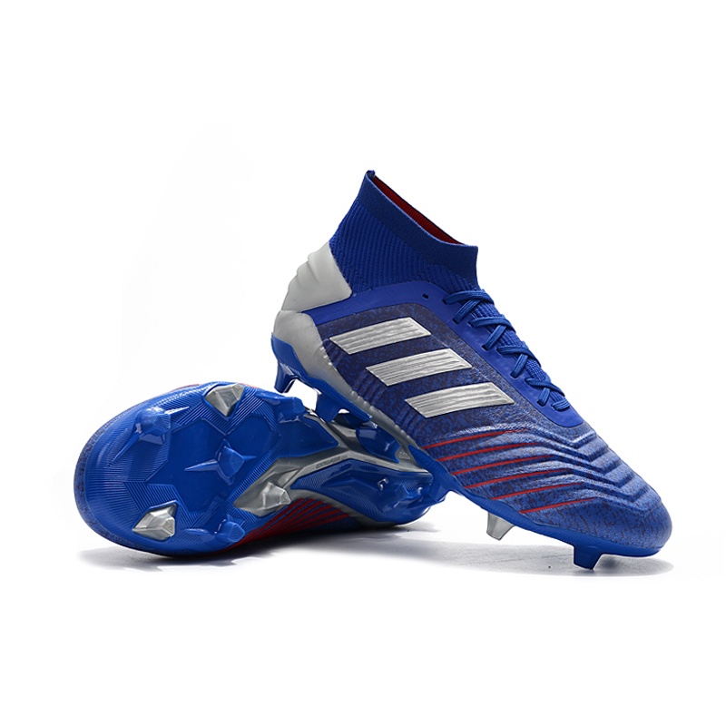 adidas 19.1 fg predator