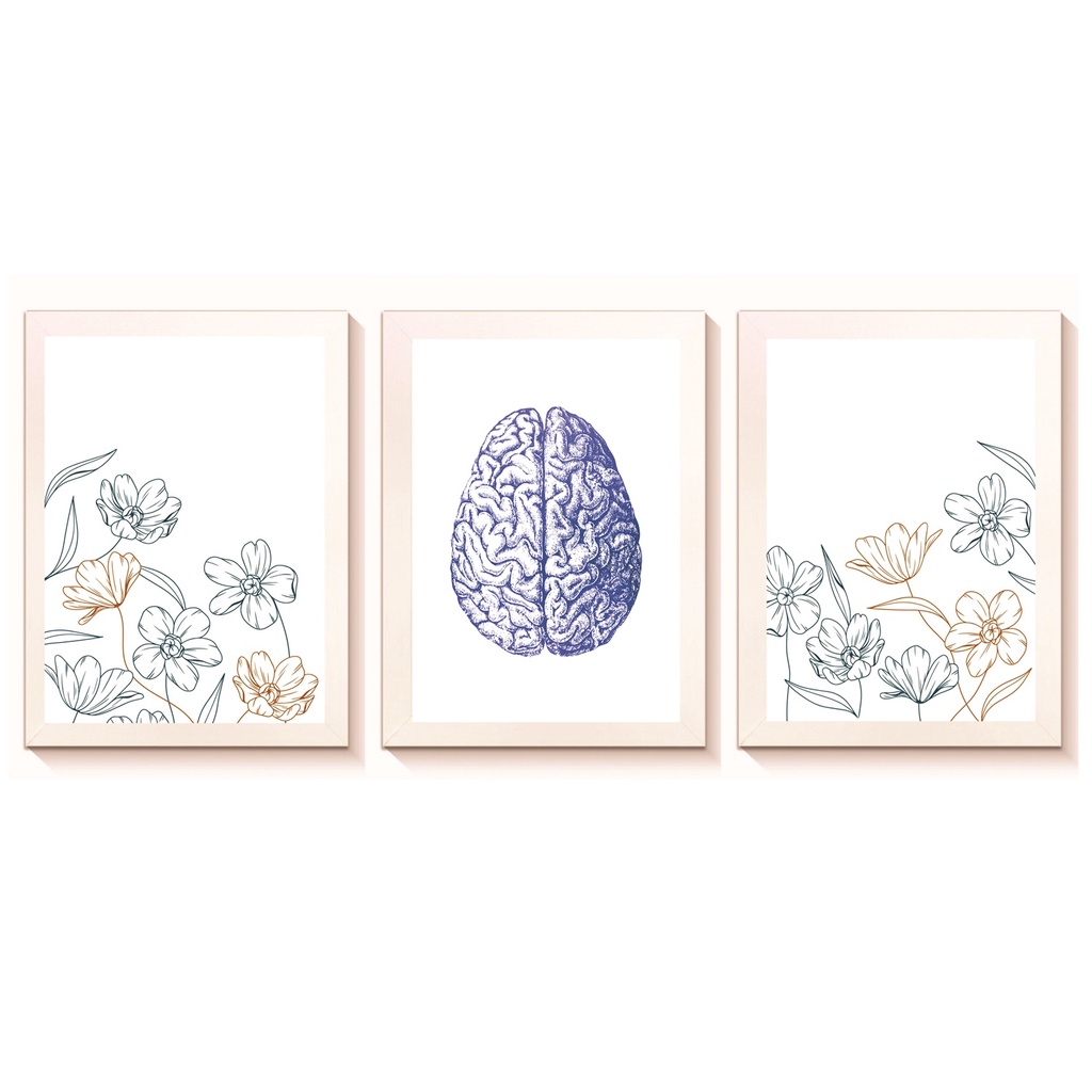 Kit 3 Quadros Cérebro Decoração Medicina para Consultório Clínica Hospital Neurologia Psiquiatria Psicologia