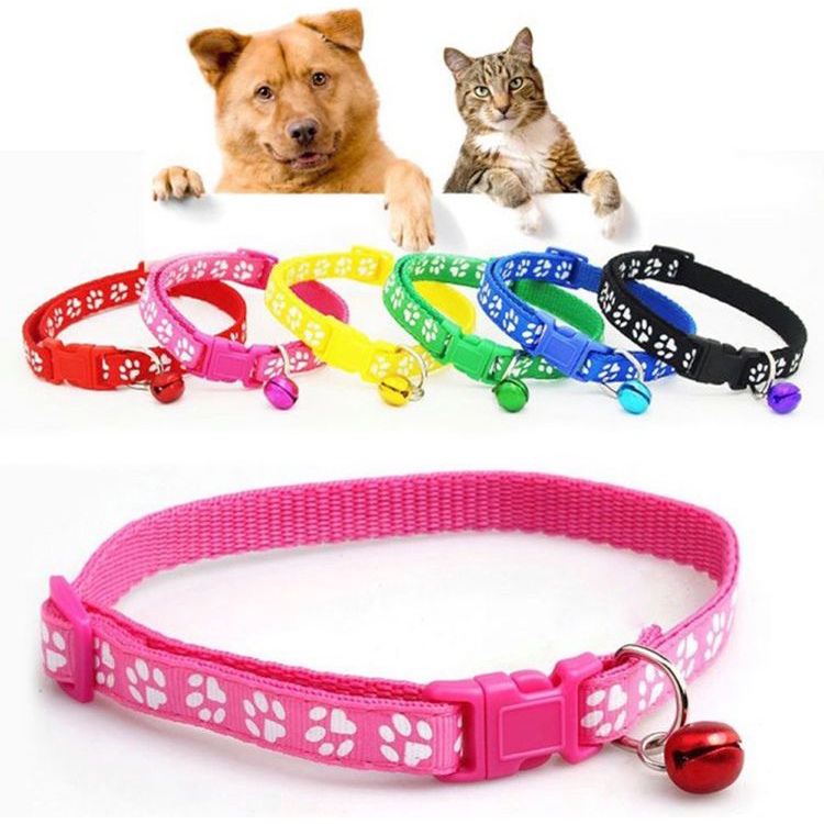 Coleira para Gato e Cachorro (porte pequeno e Médio ) com é sem pingente SORTIDAS