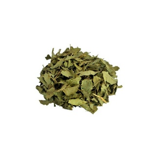 Espinheira Santa - 100 gr