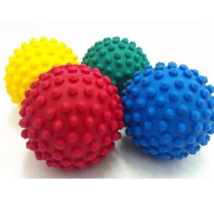 Bolinha Cravo ou Lisa Anti Stress Pet fisioterapia durável em Oferta na Shopee