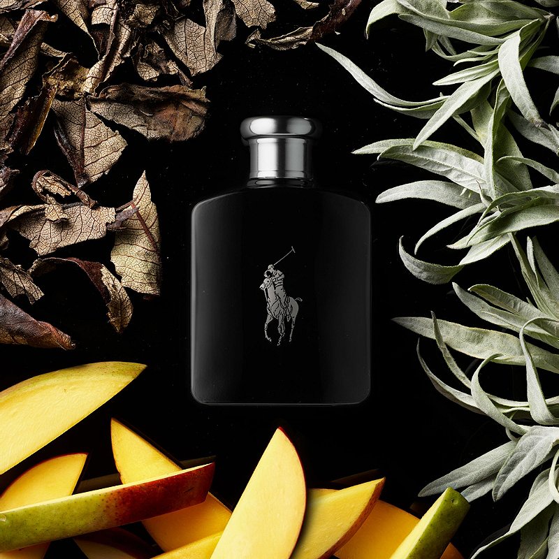 Perfume Polo Black Ralph Lauren - Masculino - Eau de Toilette 200ml |  Shopee Brasil