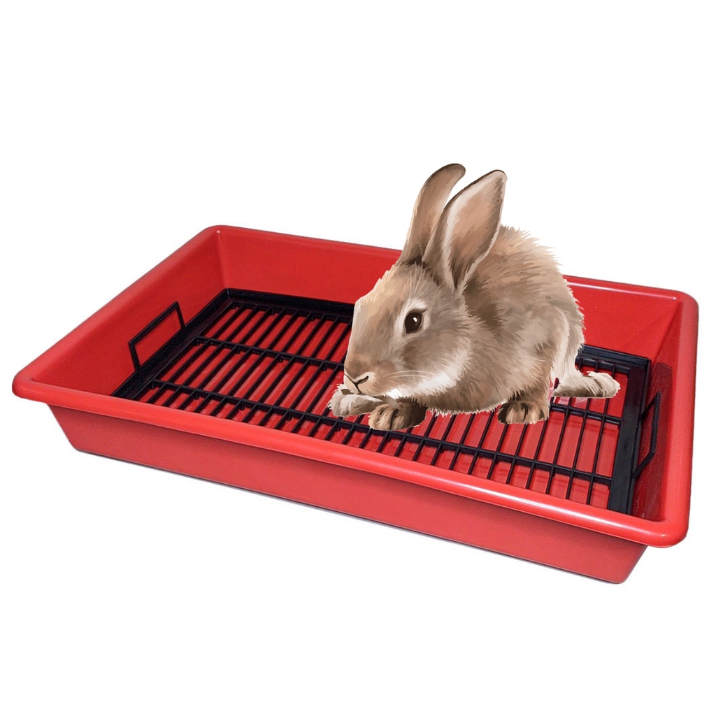 Banheiro Para Porquinho da India Bandeja Sanitaria Com Grade Para Coelho em Oferta na Shopee