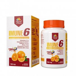 Imune 6 - Vit C + Vit D + Se + Zn + Vit A + Vit B6 - 60caps