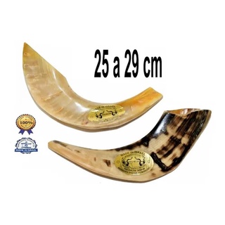 Shofar Chifre De Carneiro De Tocar - De Israel E1 25-29 Cm