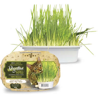 Graminha Para Gatos Digestive Grass IPet 50g