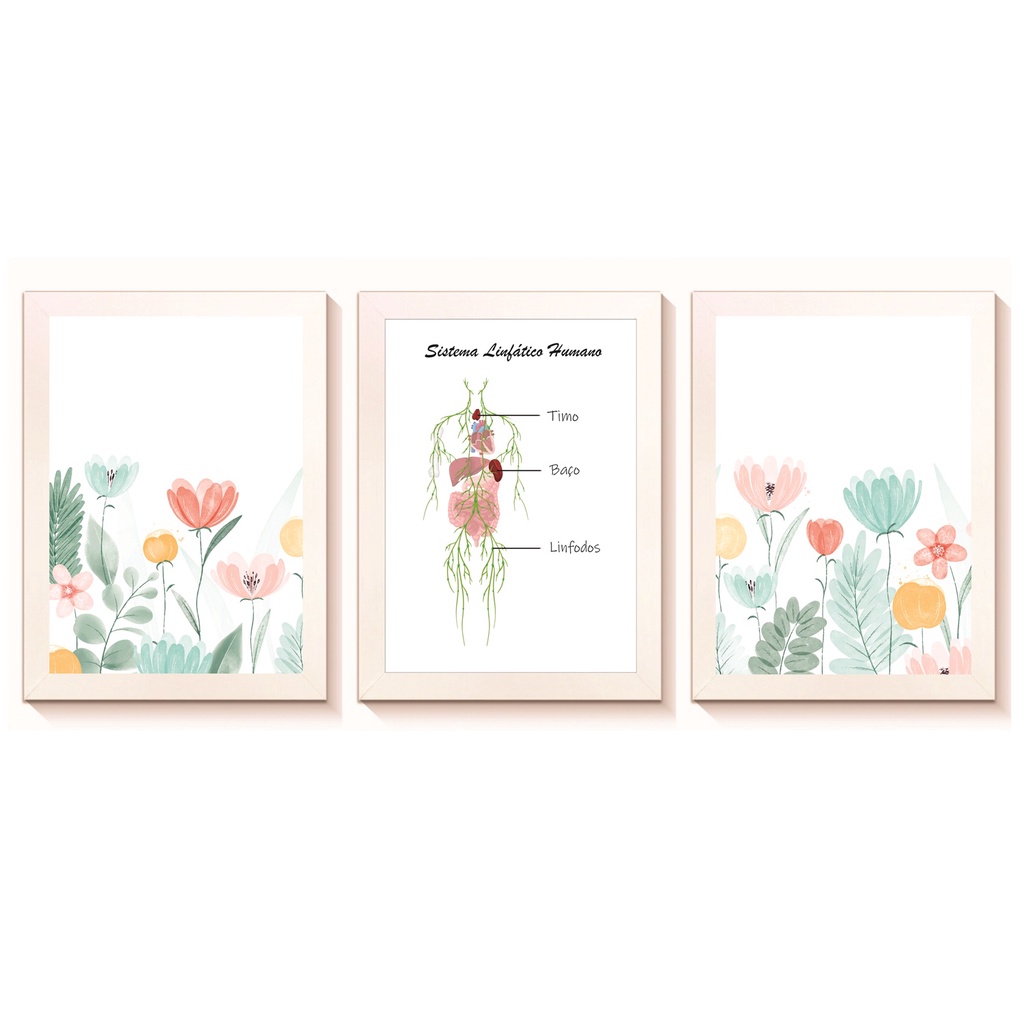 Kit 3 Quadros Decorativos Sistema Linfático Endocrinologia Medicina Consultório Clínica Molduras 20x30cm Madeira Vidro