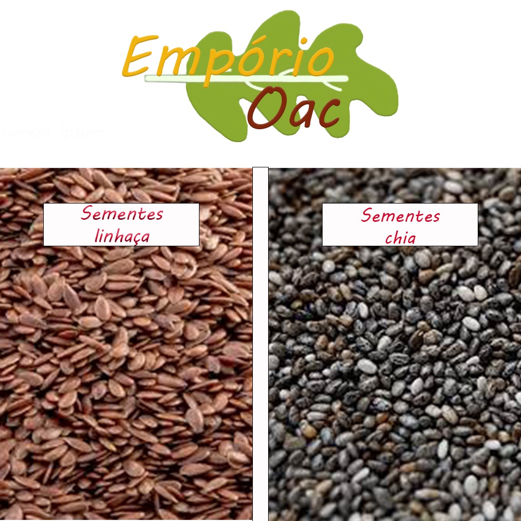 kit-semente-de-chia-100g-semente-linha-a-100g-shopee-brasil