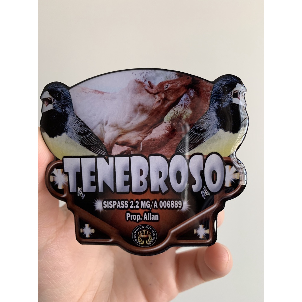 Placa personalizada para gaiola de aves trinca ferro, coleiro, baiano, bico pimenta, canario, tiziu, curio, sabiá, galo de campina, azulão, tico tico, frade, bigodinho