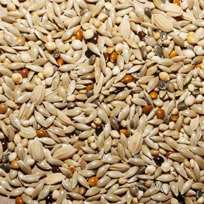Mistura Premium para Bicudo & Curió 1kg – Alimento Natural para Granívoros