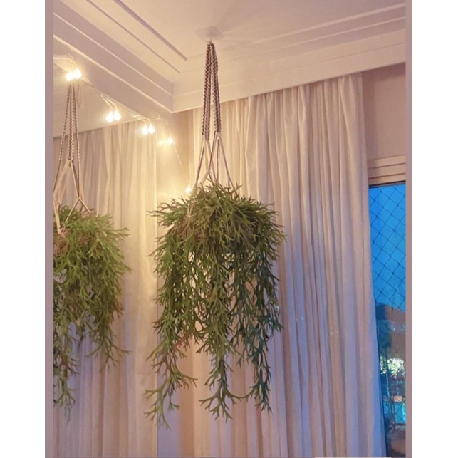 folhagem pendente artificial chifre 60cm  com vaso pendente 50cm