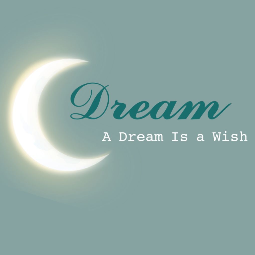 a-dream-is-a-wish-loja-online-shopee-brasil