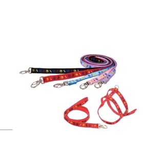 Coleira Guia Peitoral Osso e Pata Para Cachorro Passeio Pets Cães Pequeno Porte em Oferta na Shopee