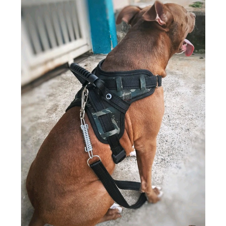 OFERTA ! Peitoral Coleira de Couro Sintético Para Cachorros de Grande e Médio Porte Reforçado