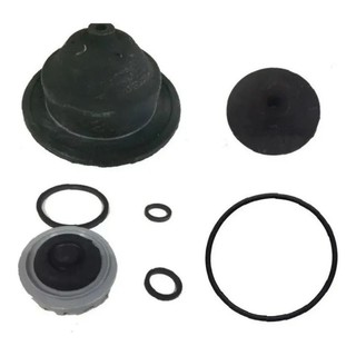 Kit Reparo Bomba Sapo SILVER / ANAUGER 800/900 6 parafusos.