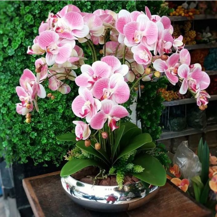 Arranjo Orquídeas De Silicone 8 Unidades Para Mesa Com Vaso | Shopee Brasil