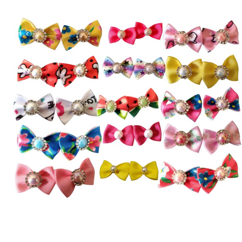 Lhasa Apso Femea: Onde Comprar | BuscaProdutos