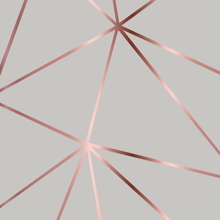Papel de parede geométrico Rose Silver 2,50m em Oferta na Shopee