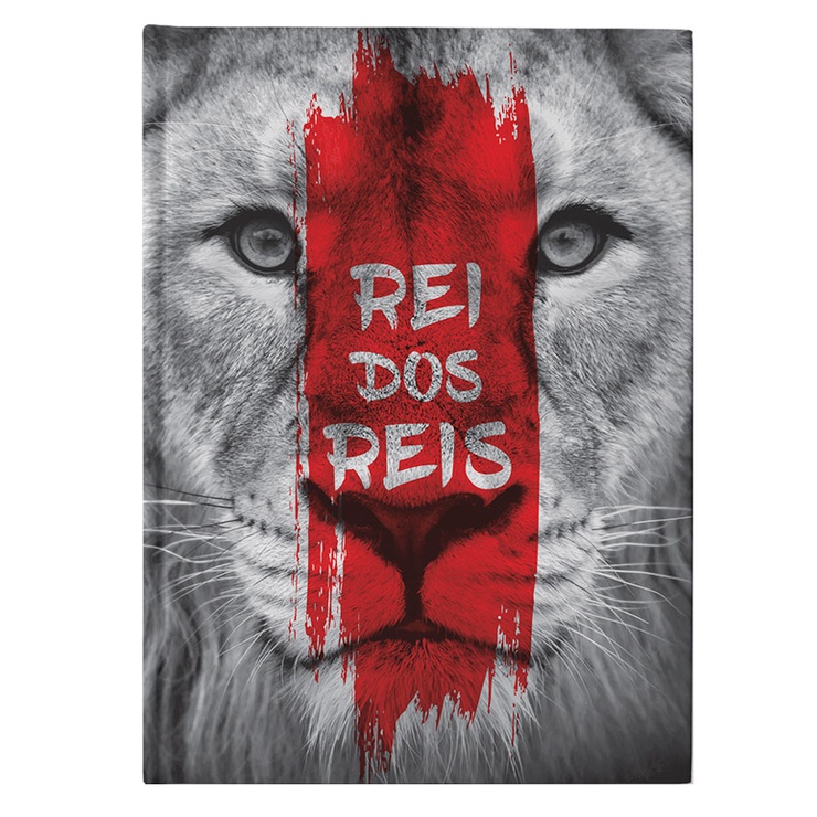 Bíblia Sagrada Rei Dos Reis | NAA | Capa Dura - Books & Magazines