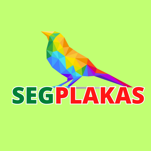 Segplakas