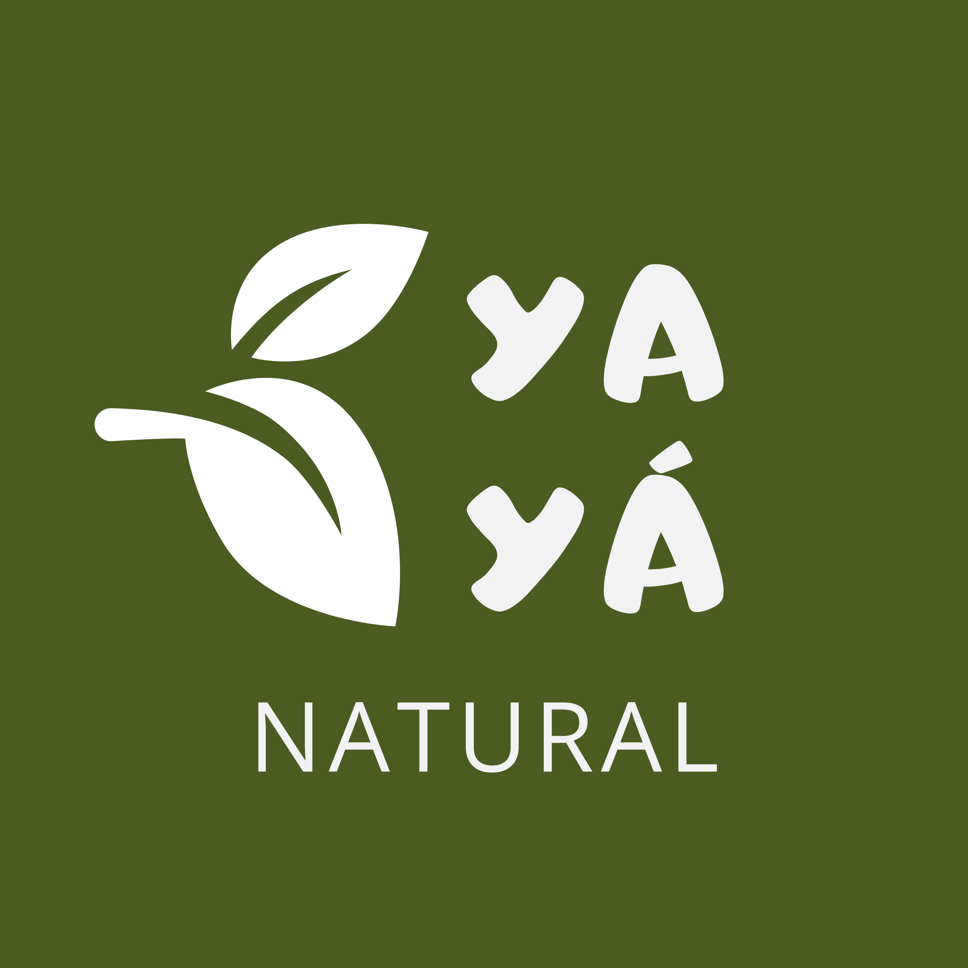 YAYA NATURAL COMERCIO E SERVICO LTD