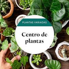 CentrodePlantas