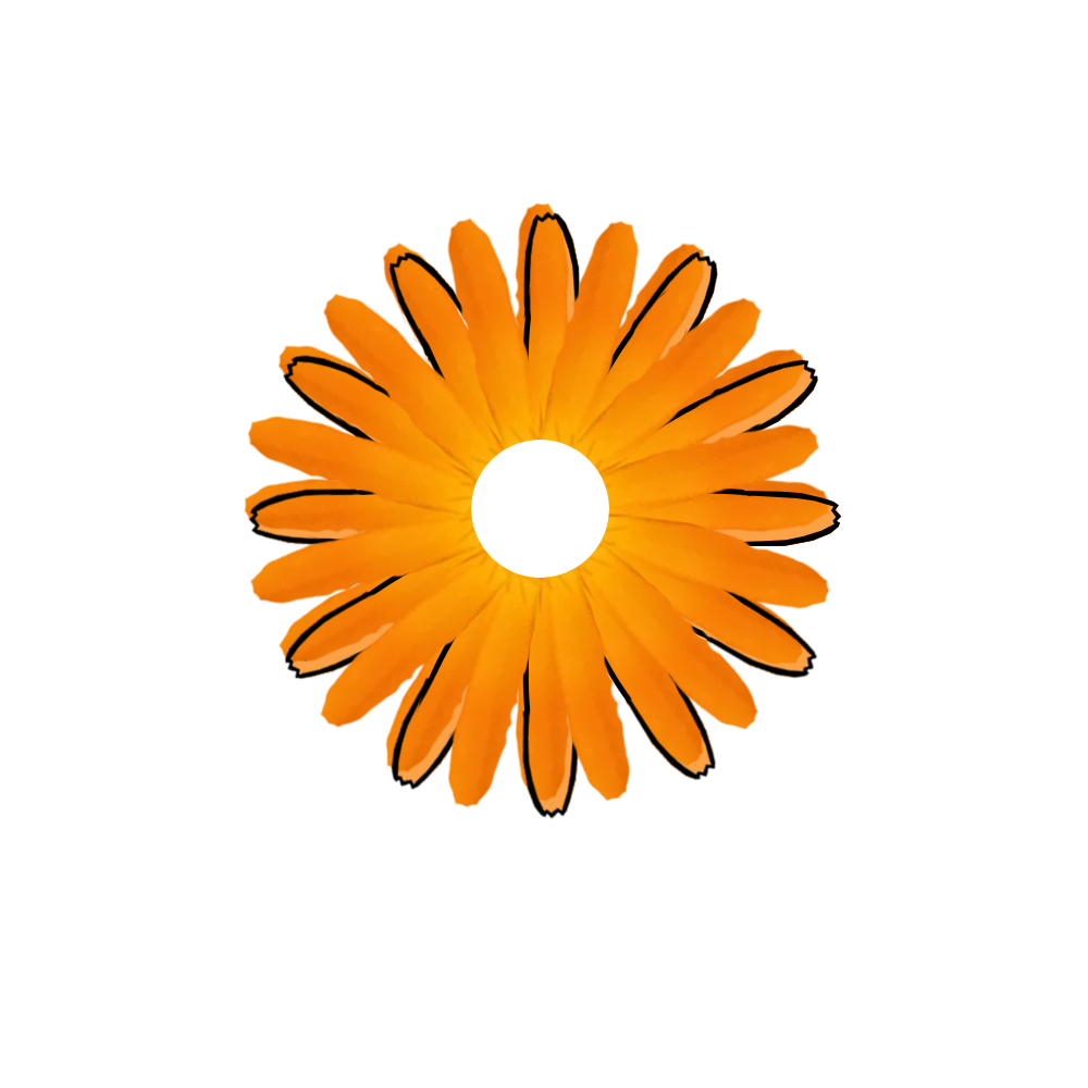 Calendula Cosmeticos