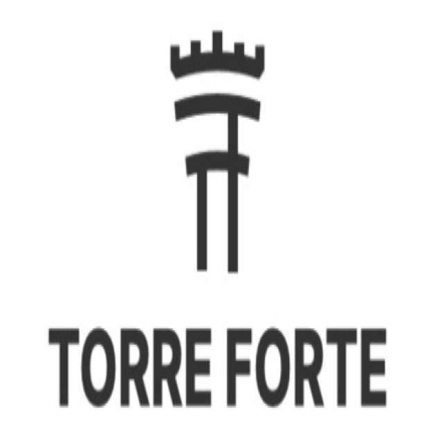 MINHA TORRE FORTE