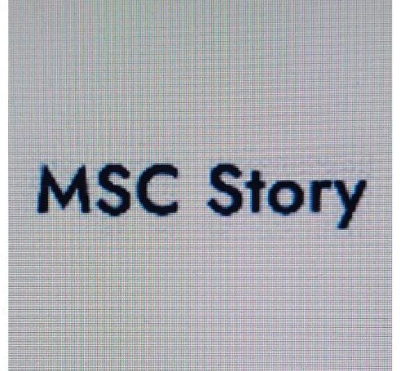 MSC Store
