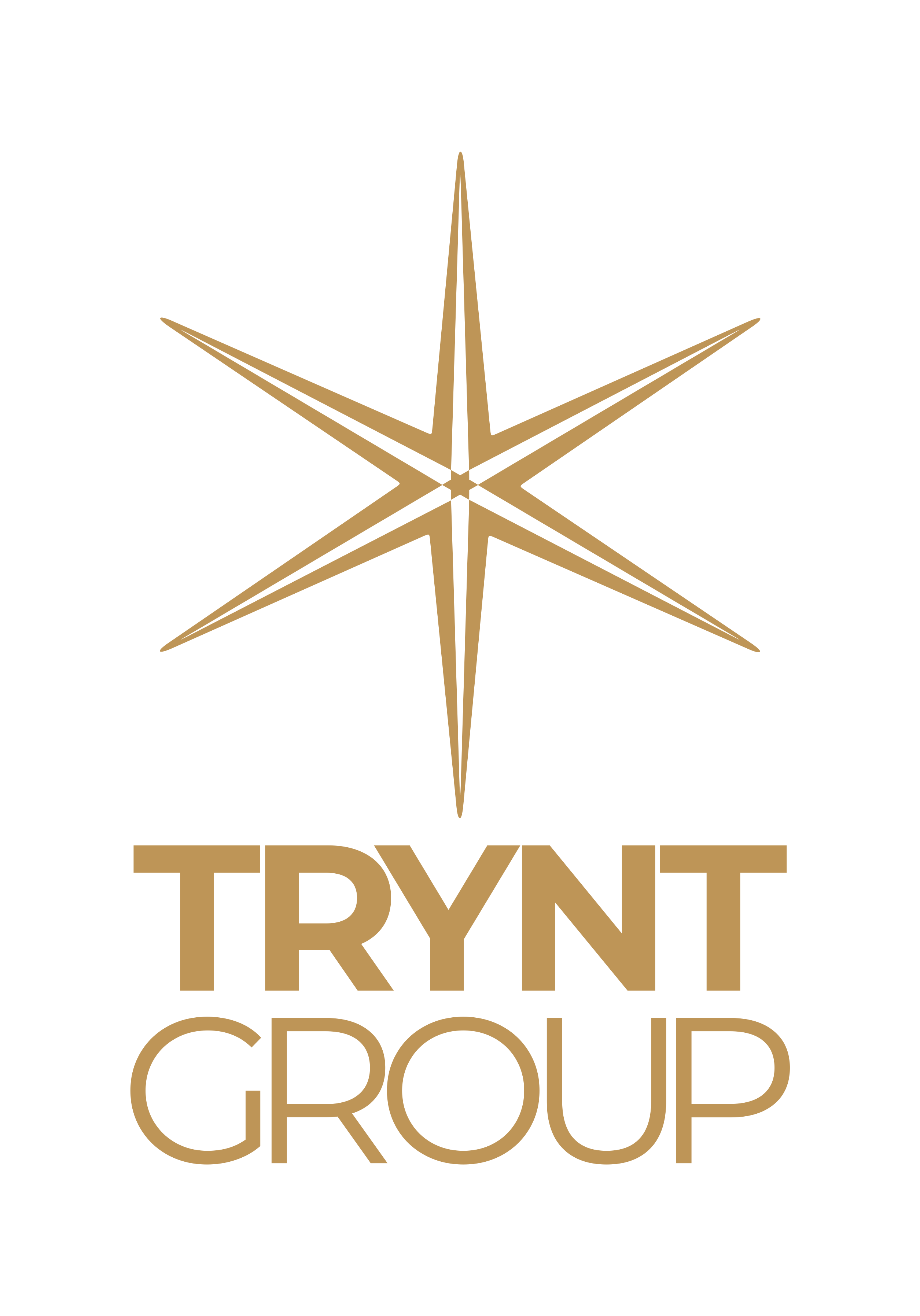 Trynt Group