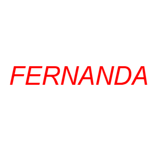 FERNANDA.LTDA.STORE