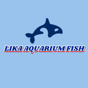 LIKA AQUARIUM FISH