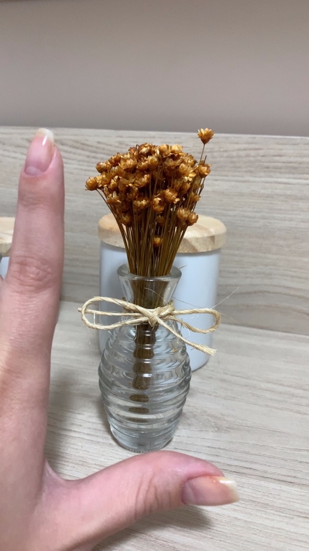 Mini Vaso Com Flor seca Sempre Viva | Shopee Brasil