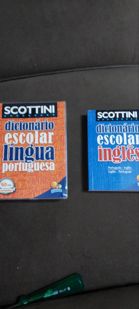 Scottini - Dicionário de Inglês - 60 mil verbetes (Capa Plástica