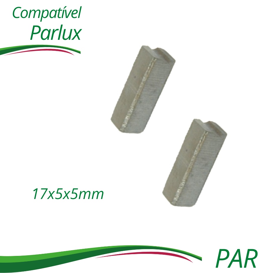 Escova Carvão Para Secador Parlux - Par