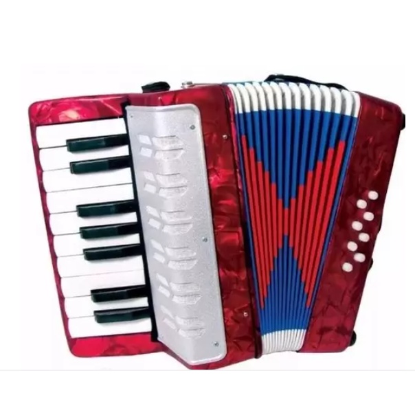 Acordeon Sanfona Gaita Infantil 8 Baixos Brinquedo Crianças .