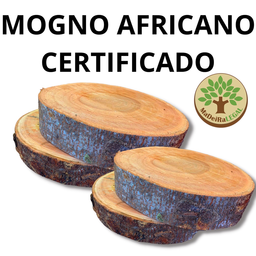 Quatro Bolachas de Madeira Mogno Africano Rústicas Madeira Certificada