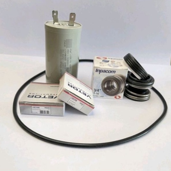 Kit Reparo Bomba Dancor Motor Weg (Capacitor+Selo Mecânico+Rolamento 6203 Vto+Rolamento 6201 Vto + Oring da Carcaça)
