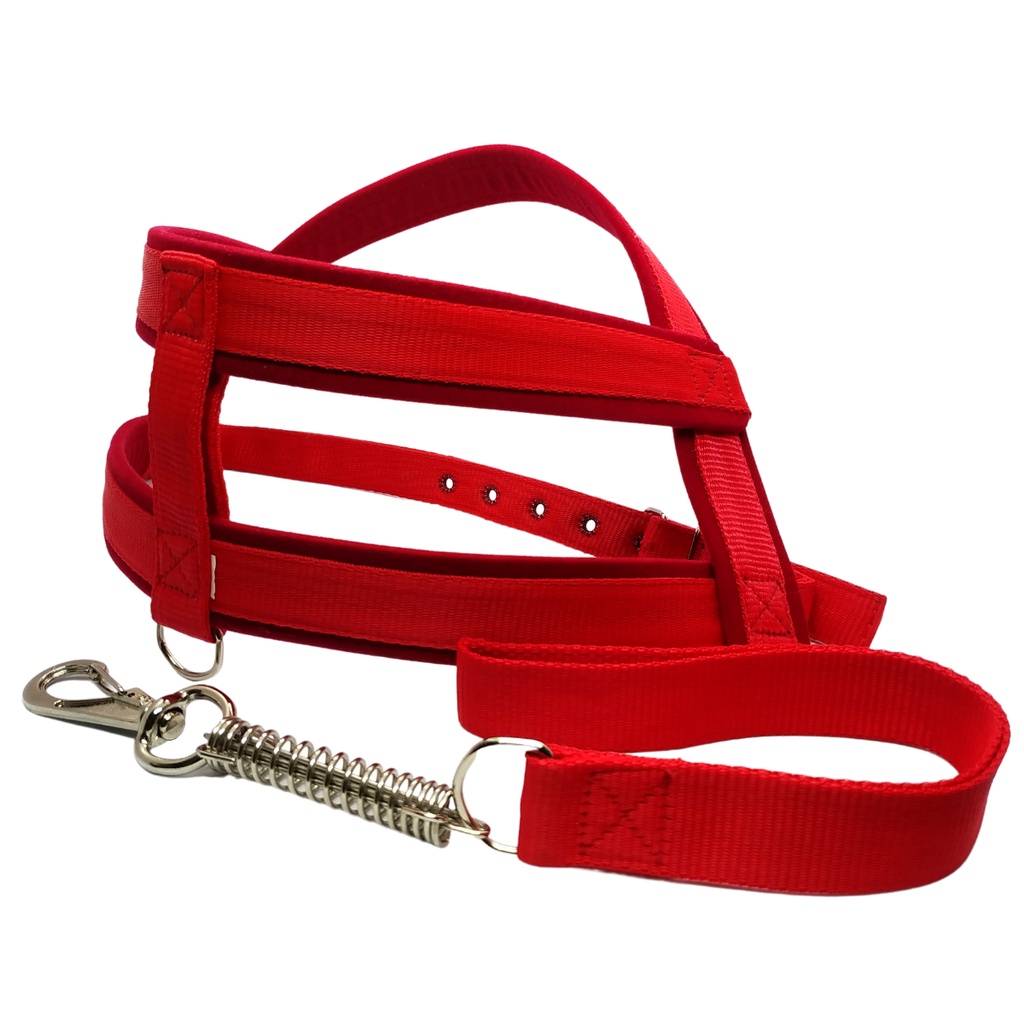 Peitoral Coleira de Cachorro Vermelho com Guia Amortecedor para Cão Grande e Porte Médio Labrador Pitbull Pastor Alemão Fila Rottweiler Golden Passeios