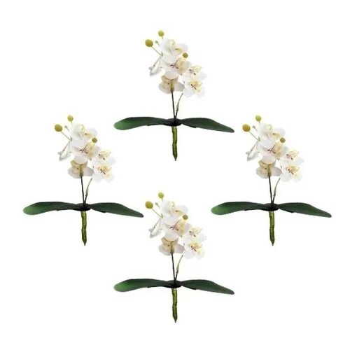 Buquê de Orquídeas Brancas: Onde Comprar | BuscaProdutos