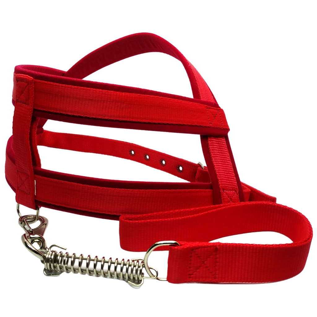 Labrador com Pitbull: Onde Comprar | BuscaProdutos