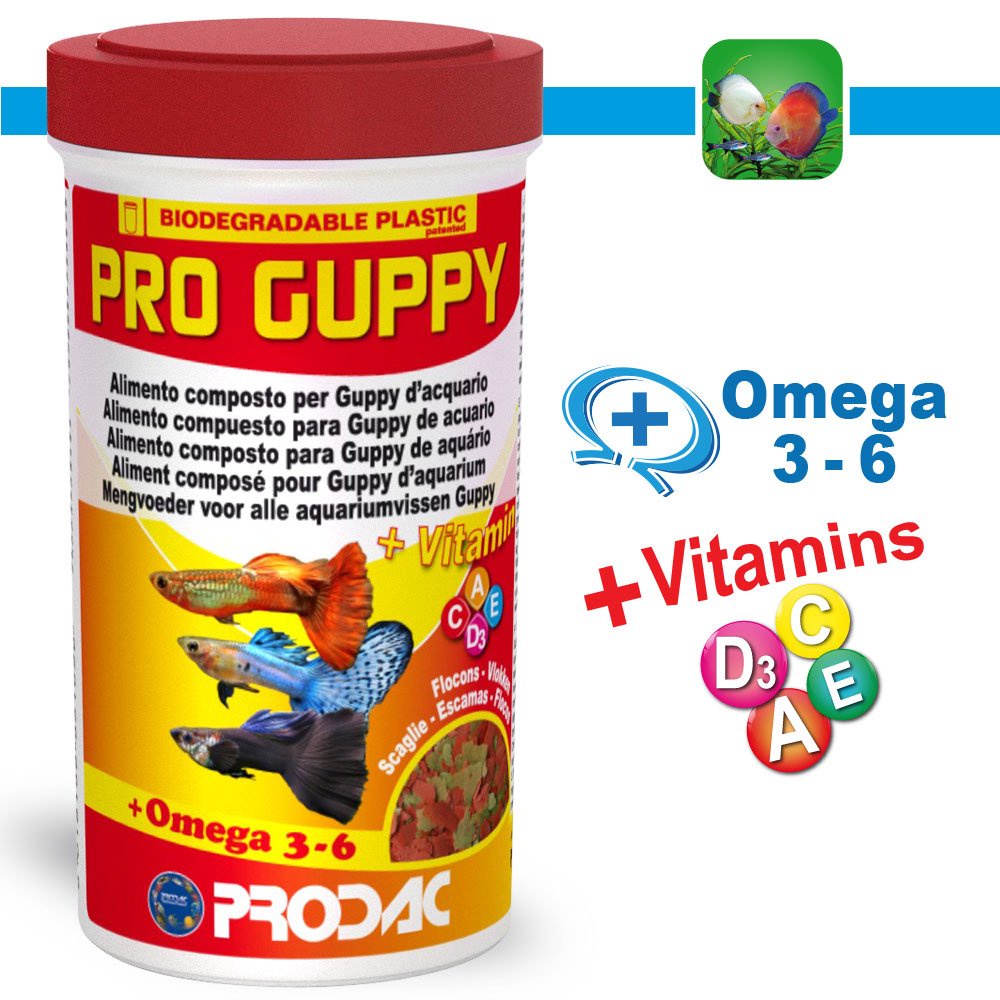 Ração Prodac Pro Guppy 20g Todo O Tipo De Guppy (lebistes)