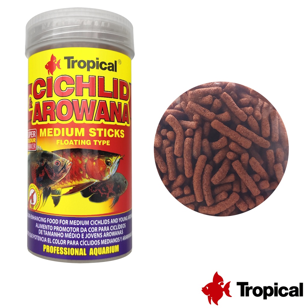 Arowana Fish: Guia Completo e Onde Comprar | BuscaProdutos