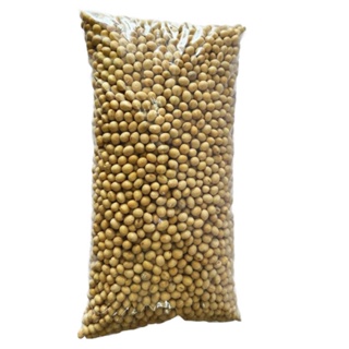 Soja em Grãos Qualidade Premium 500 gramas em Oferta na Shopee