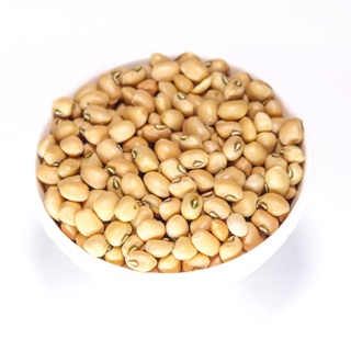 Feijão de Corda do Nordeste Top de Linha 1kg em Oferta na Shopee