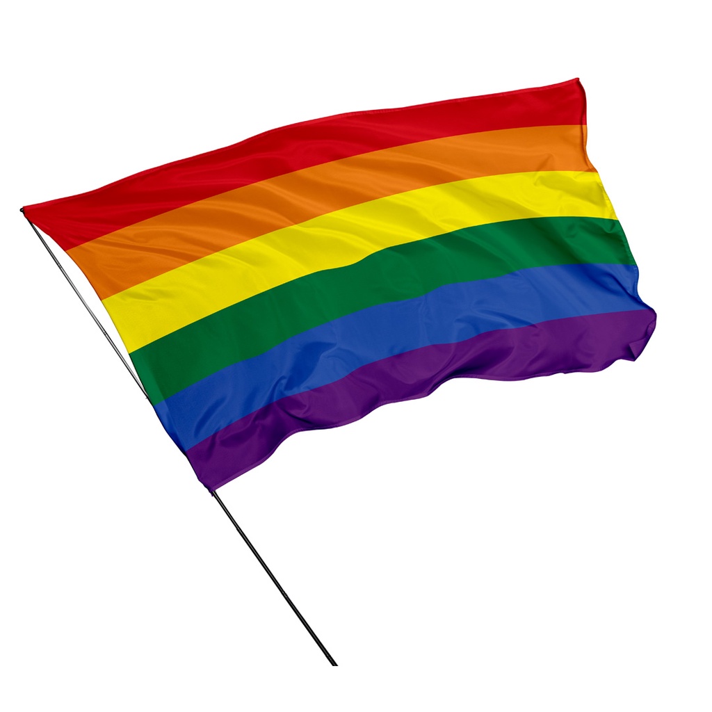 Bandeira Lgbt Lgbt+ 1,50m X 1m | Shopee Brasil