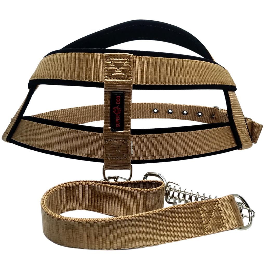 Cão Fila Preto: Guia Completo e Onde Comprar | BuscaProdutos