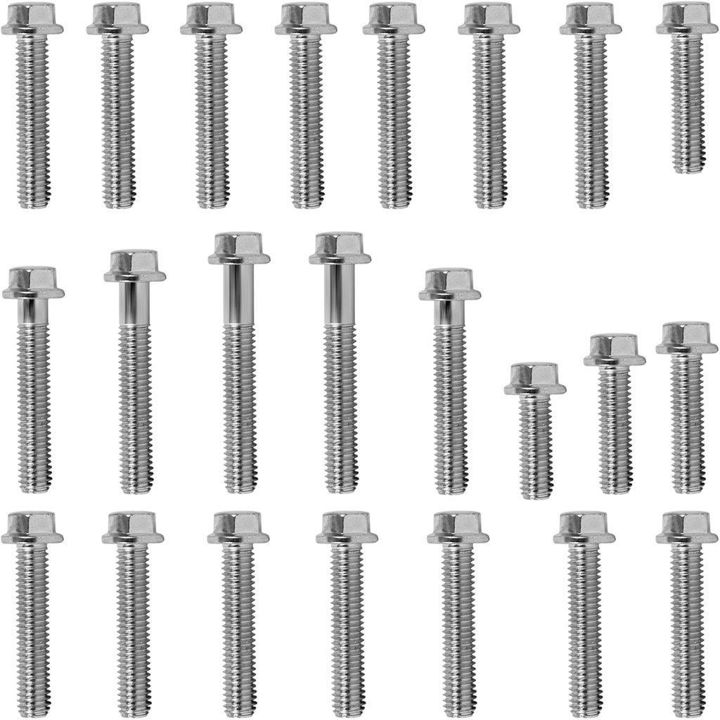 Kit parafusos tampa motor lateral esquerda+direita CBX200 Strada XR200R NX200 1993 a 2003