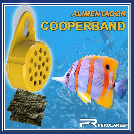 Alimentador Aquário Marinho: Onde Comprar | BuscaProdutos